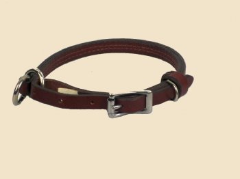 Dual Purpose Leather Dog Collar