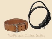 Dog Collar with Hand Hold