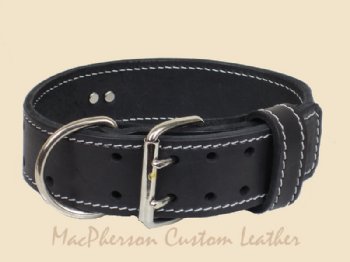 Dog Collar with Hand Hold