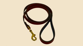 Dog Leash Leather with Reinforced Hand Hold